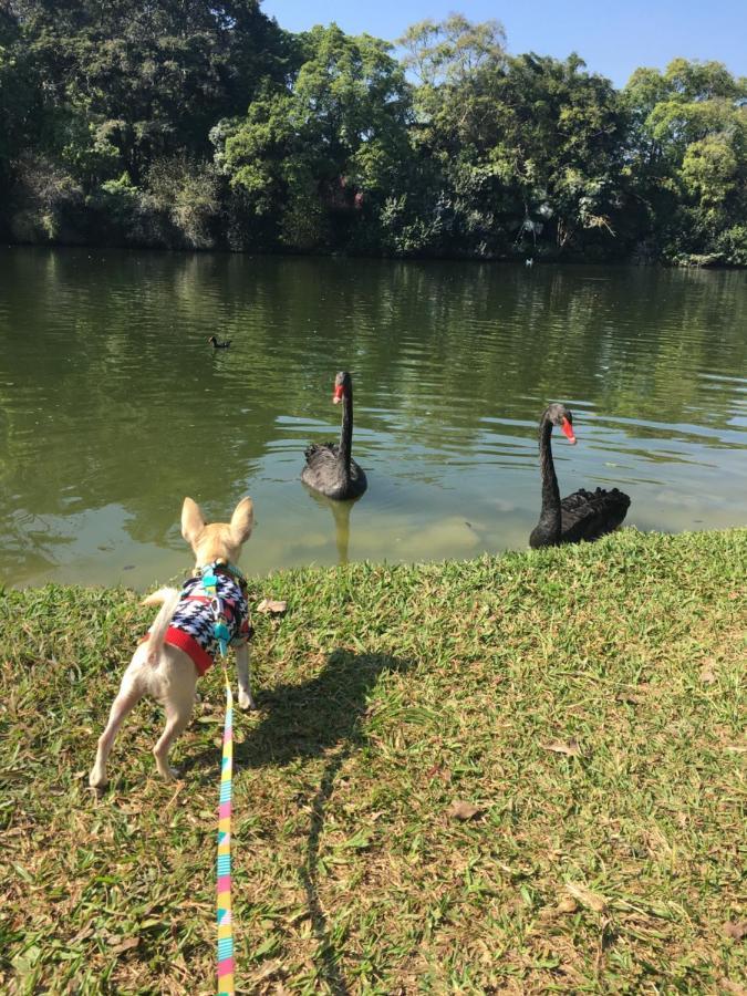 דירות סאו פאולו Ibirapuera Royal Park מראה חיצוני תמונה